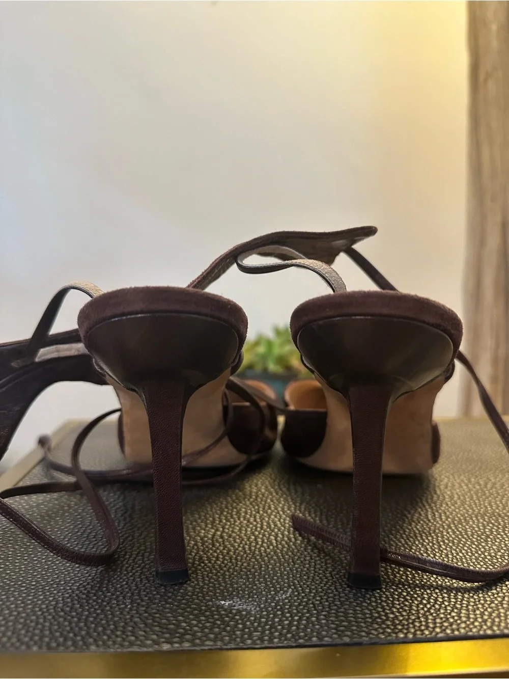 Manolo Blahnik Dark Brown Suede Pointed Toe Ankle Tie Pumps